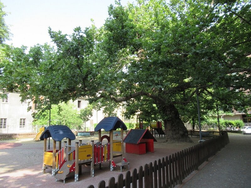 Giardino “Roberto Bazlen e Luciano Foà”