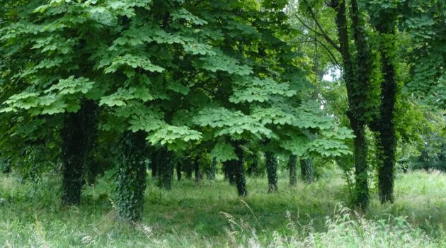 GOCCIA: un progetto di rigenerazione urbana e ambientale