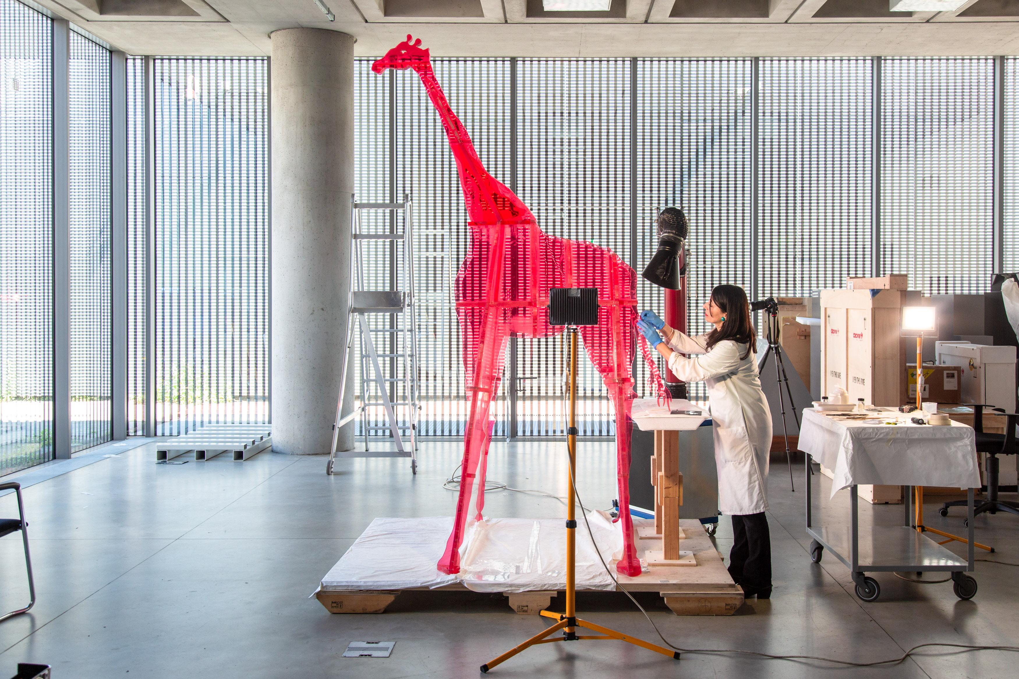 La “Giraffa Artificiale” di Gino Marotta al Museo di Storia Naturale