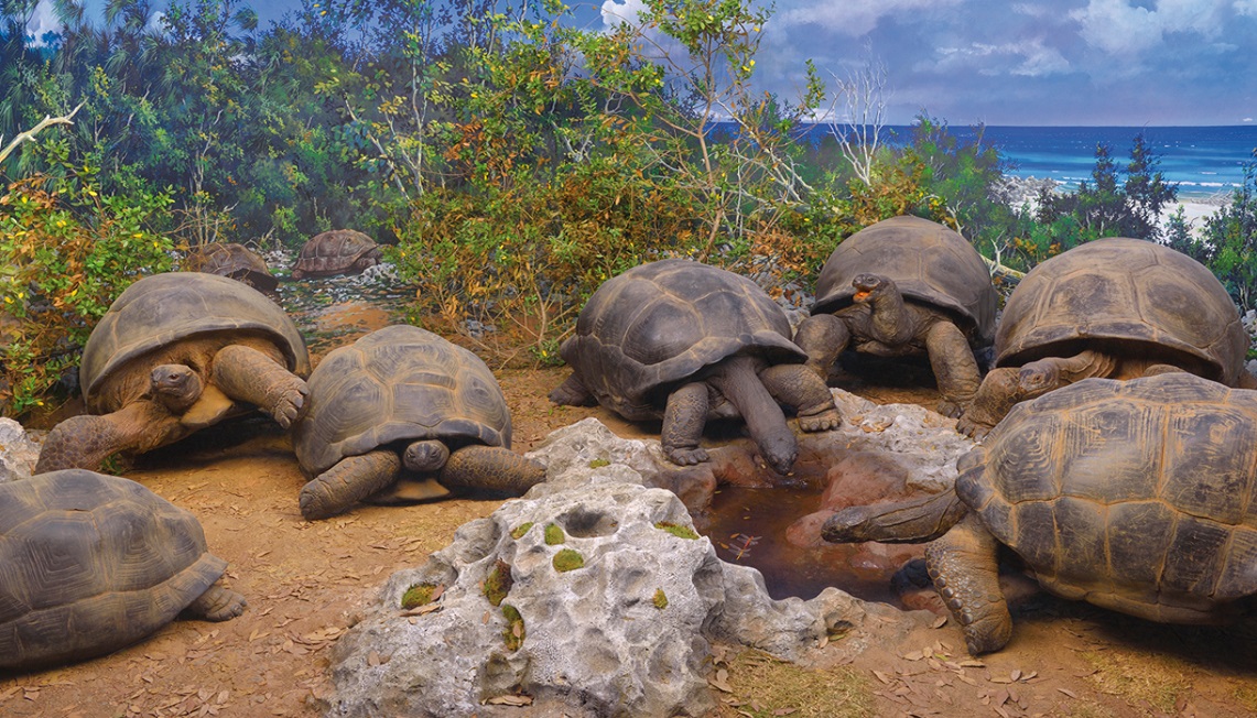 Scopri le esposizioni permanenti