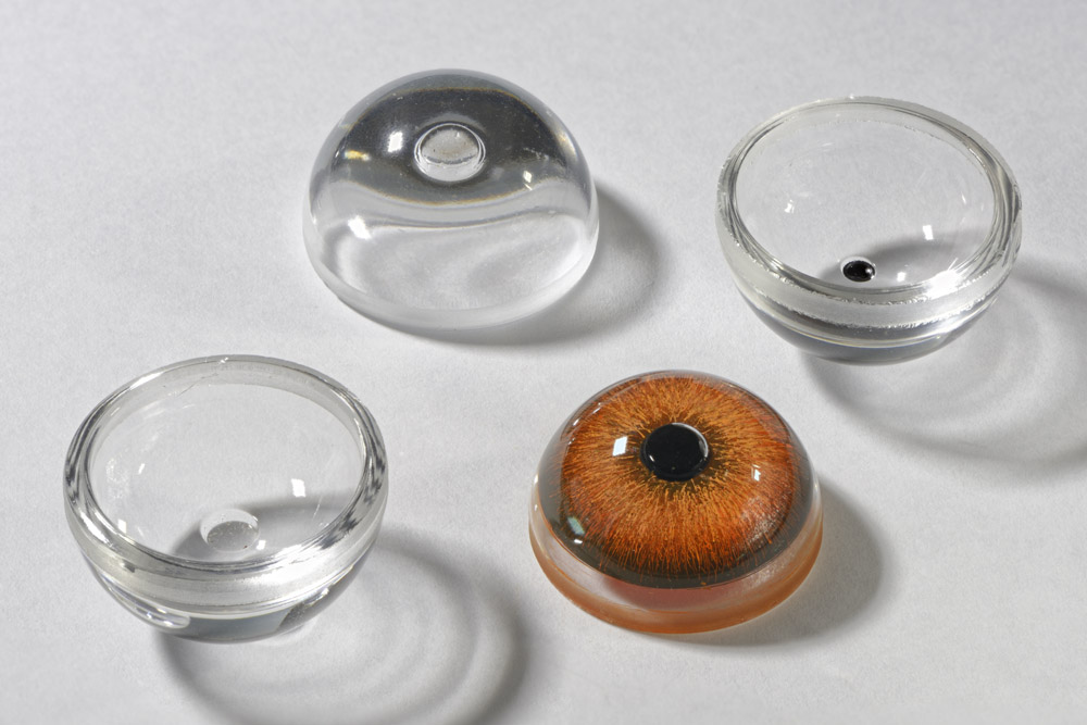 Il Laboratorio di Tassidermia