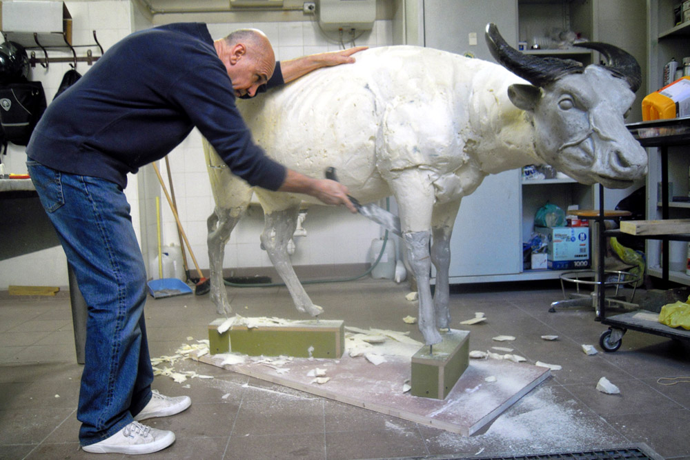 Il Laboratorio di Tassidermia