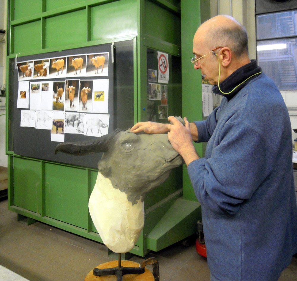 Il Laboratorio di Tassidermia