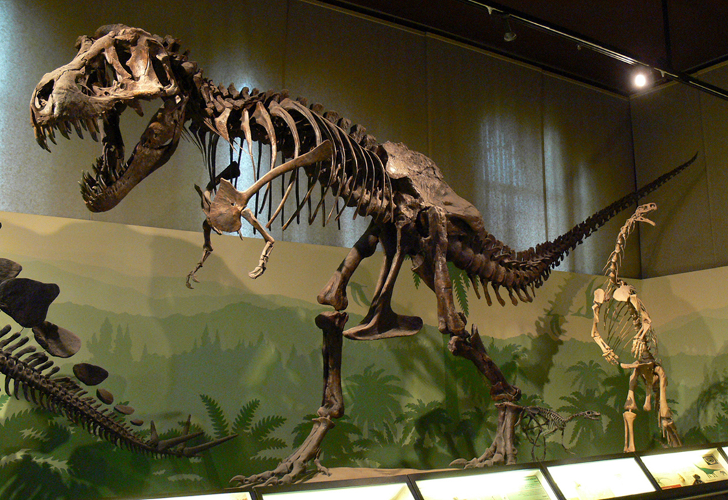 Tirannosauro e Plateosauro