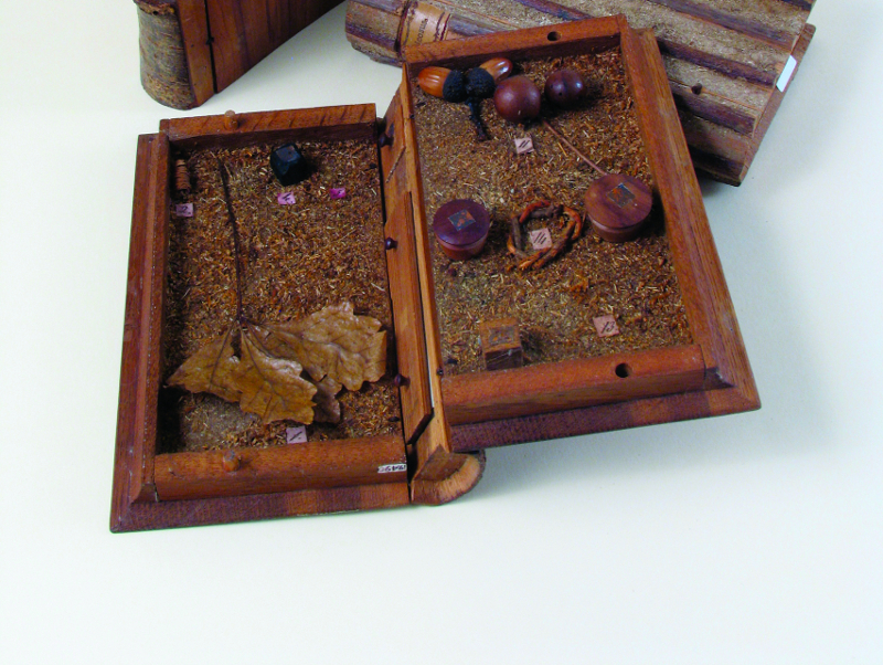 Vai alla pagina La Xiloteca