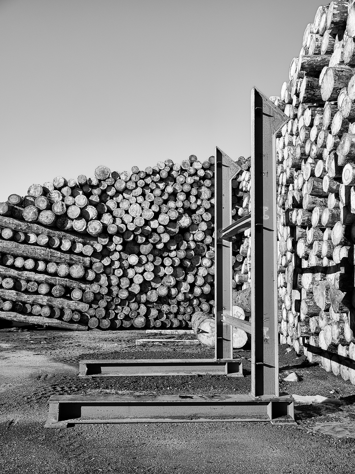 La precisione e l’ordine sono essenziali per il recupero del legname, una ricchezza che non va assolutamente persa