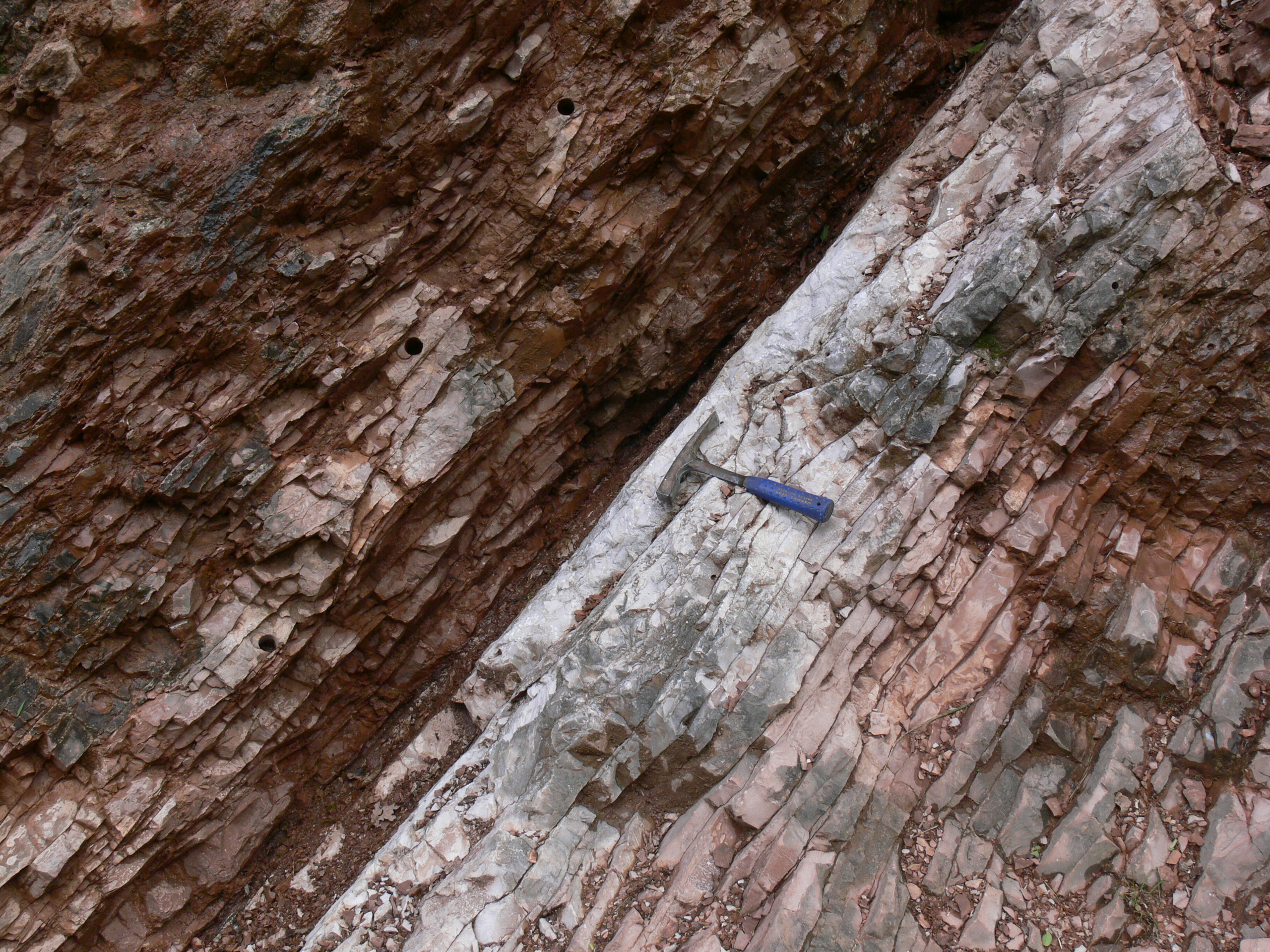 SEZIONE DI PALEONTOLOGIA: L\'estinzione dei dinosauri