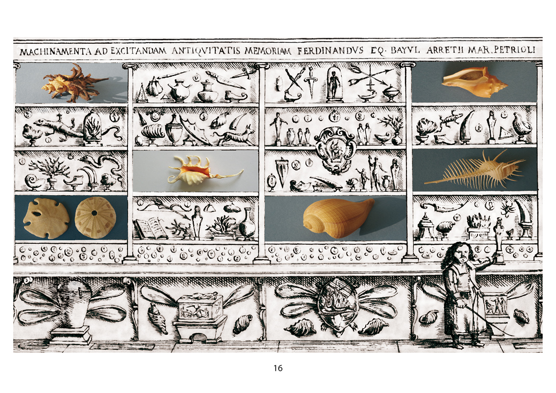 Museo City 2022 Gloria Longhi, Elaborazione grafica su acquaforte da: Lorenzo Legati, Museo Cospiano... (Bologna, 1677)
