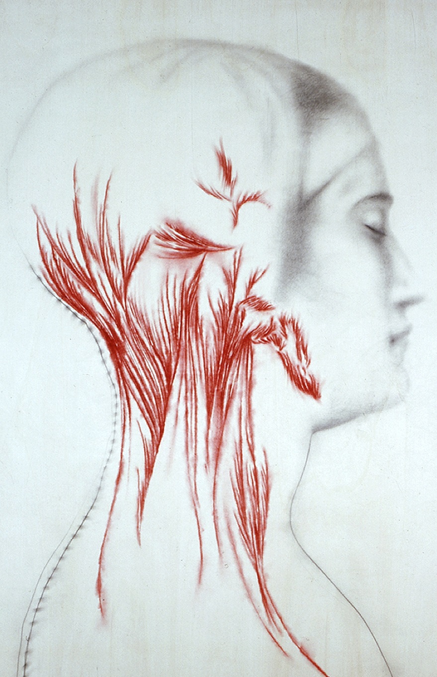 Omar Galliani. L\'anatomia del disegno. La natura nell\'opera del maestro
