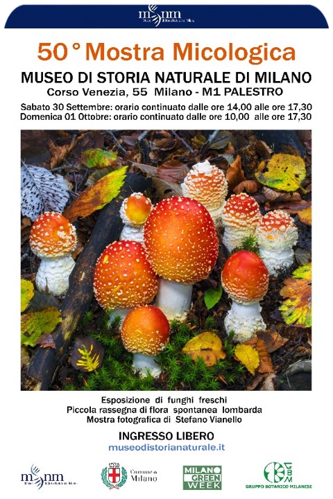 50° Mostra Micologica