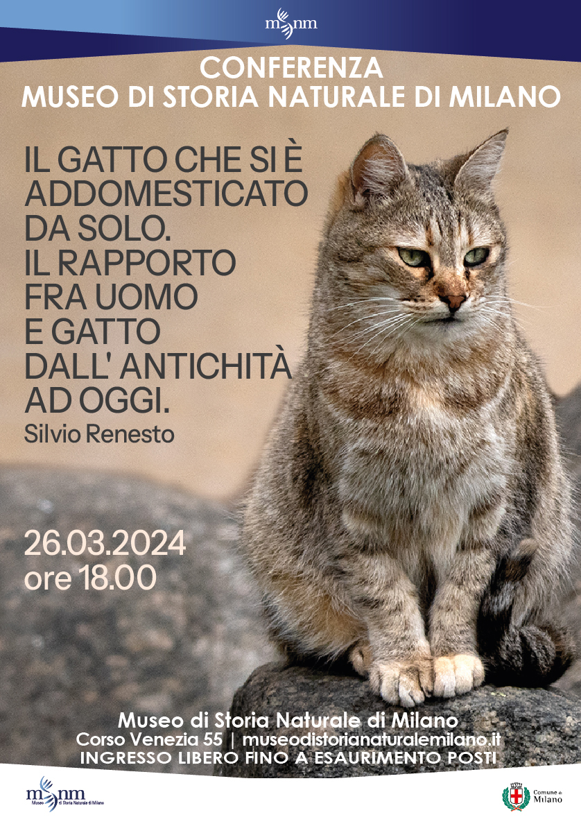 Il rapporto fra uomo e gatto dall\'antichità ad oggi