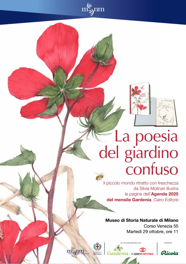 La poesia del giardino confuso