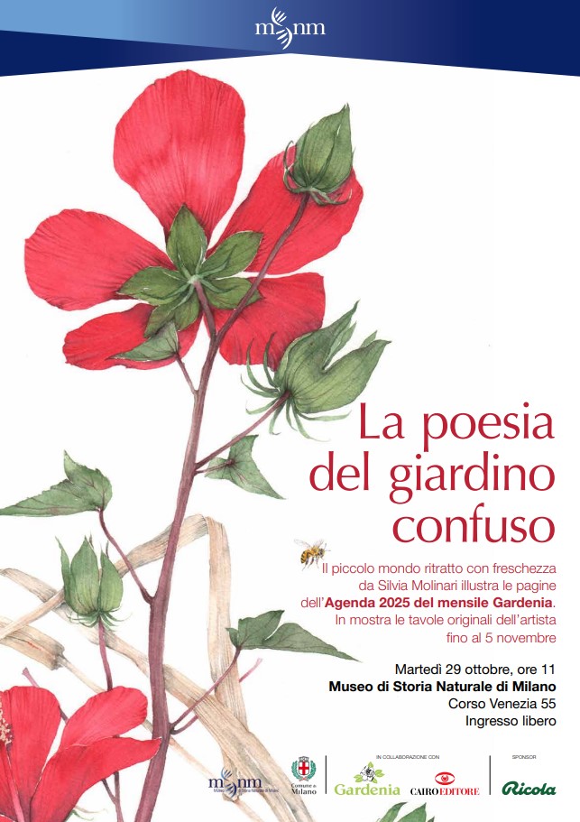 La poesia del giardino confuso