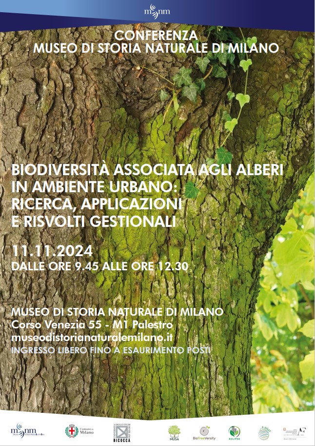 Biodiversità associata agli alberi in ambiente urbano: ricerca, applicazioni e risvolti gestionali