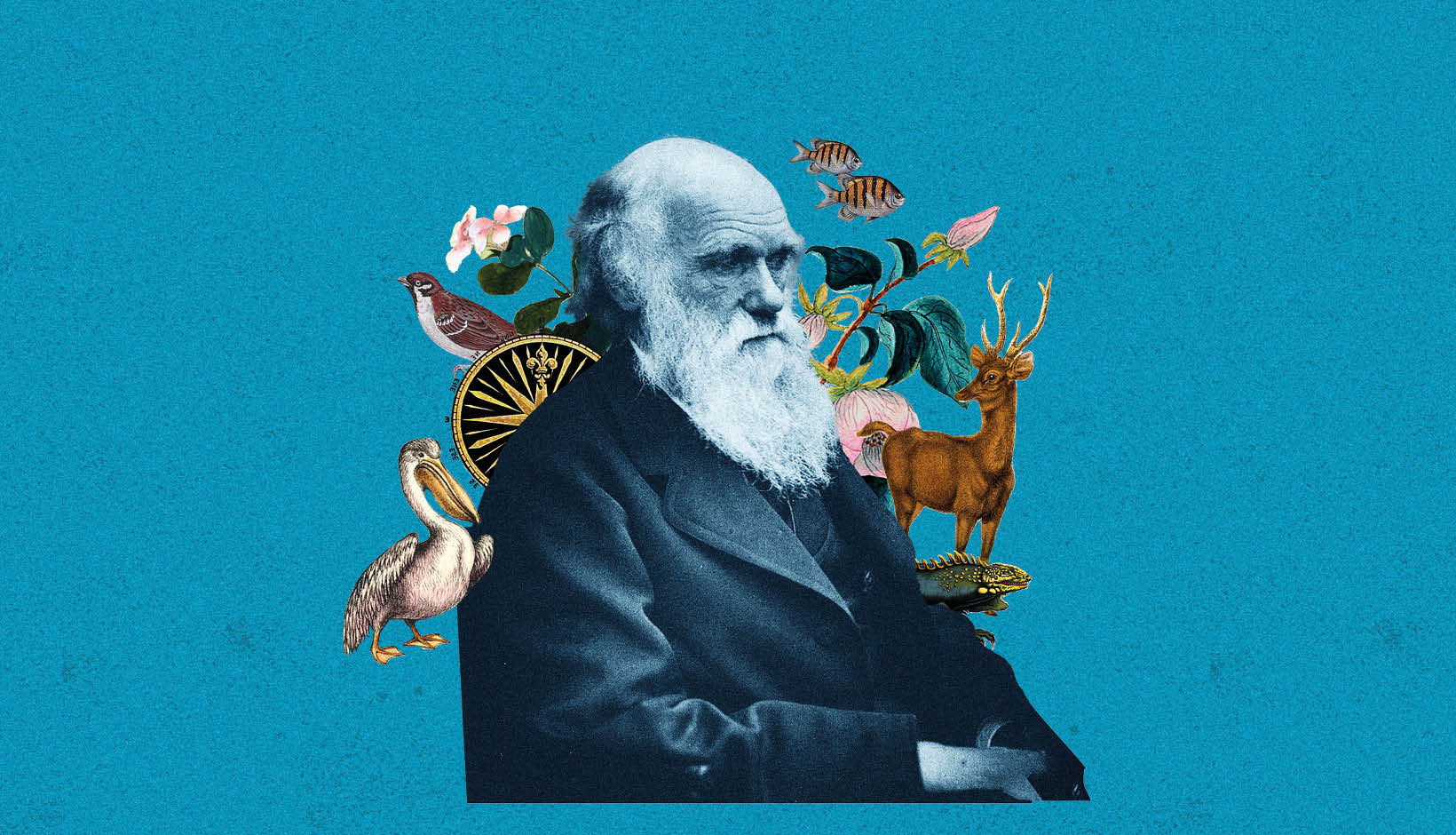 Darwin Day. Lungo rotte inesplorate