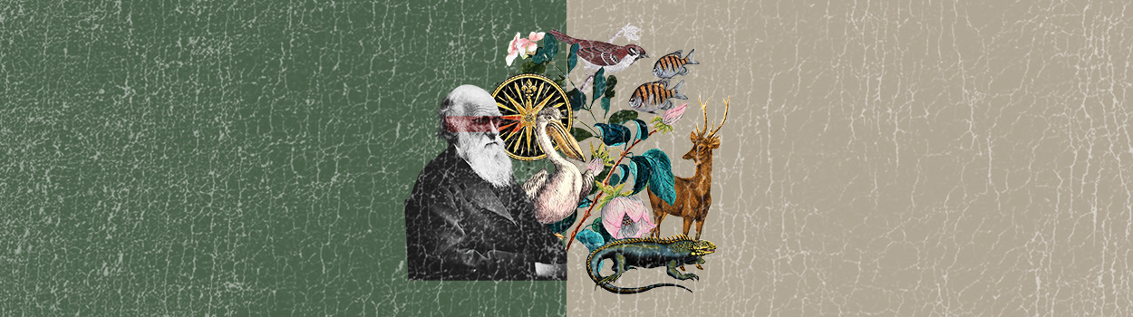 Darwin Day. Lungo rotte inesplorate / Esplorazioni sotto casa e oltre