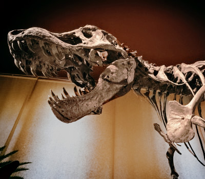 Vai alla pagina I preferiti delle famiglie