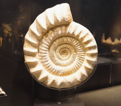 Vai alla pagina Tesori nascosti