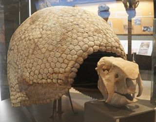 I preferiti delle famiglie