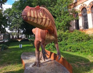 I preferiti delle famiglie