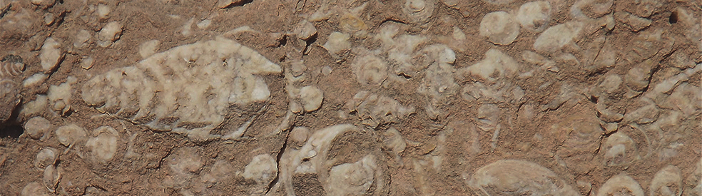 Il tempo della Terra: come la geologia svela la storia del nostro pianeta