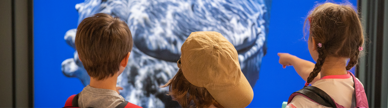 Discovery Campus 2026